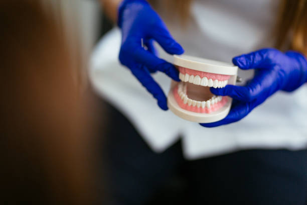 Best TMJ/TMD Treatment  in Olga, FL